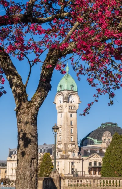 limoges-agence-entreprise-france